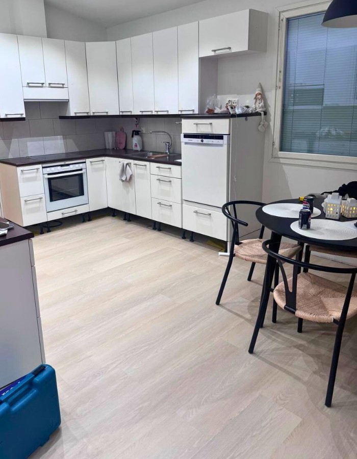 Pihakivien painepesu ja sammaleen poisto